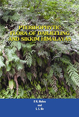 Stock image for Pteridophytic Flora Of Darjeeling And Sikkim Himalayas for sale by dsmbooks
