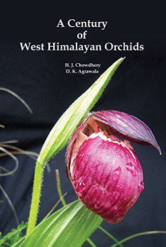 Stock image for A Century of West Himalayan Orchids for sale by Vedams eBooks (P) Ltd