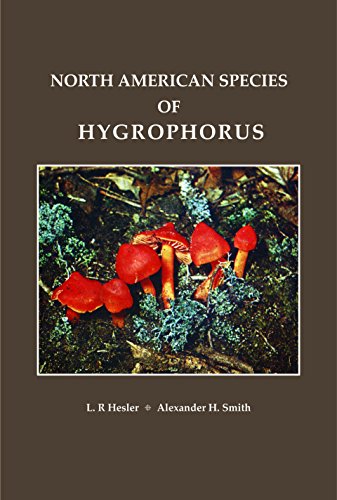 Stock image for North American Species of Hygrophorus for sale by Vedams eBooks (P) Ltd