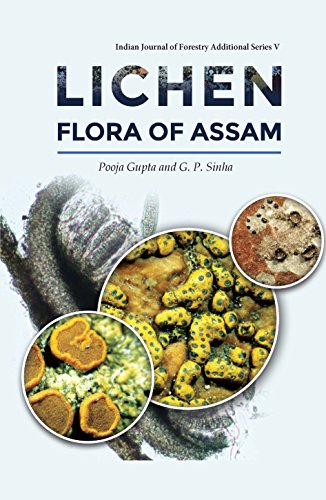 Stock image for Lichen Flora of Assam for sale by Books Puddle
