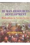 Imagen de archivo de Human Resource Development Radicalism in the Service Sector a la venta por Books Puddle