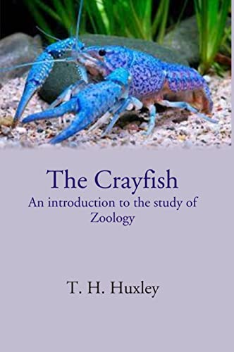 Stock image for The Crayfish an Introduction to the Study of Zoology for sale by Books Puddle