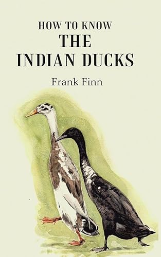 Stock image for How to know the Indian ducks for sale by Books Puddle