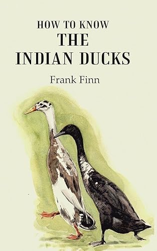 Stock image for How to know the Indian ducks for sale by Majestic Books