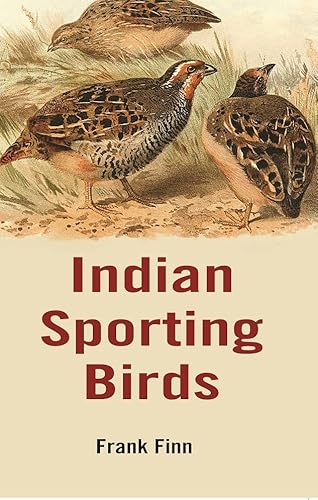 Stock image for Indian Sporting Birds for sale by Books Puddle