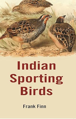 Stock image for Indian Sporting Birds for sale by Books Puddle