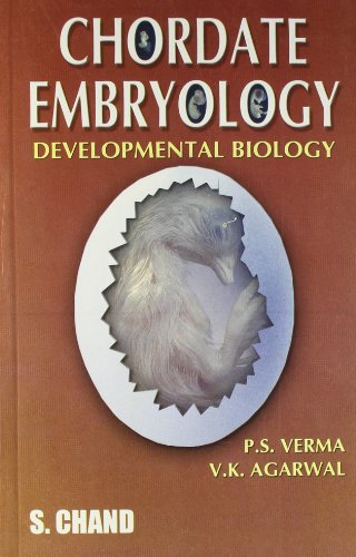 9788121902618: Chordate Embryology