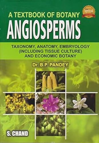 9788121904049: A Textbook Of Botany: Angiosperms