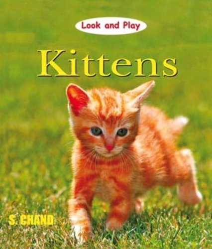 Stock image for Look and Play - Kittens for sale by Books Puddle