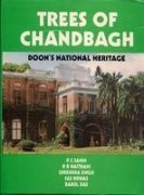 Beispielbild fr Trees of Chandbagh: Doon's national heritage : an account of trees, shrubs, woody climbers, bamboos, palms, and screw pines, indigenous and exotic zum Verkauf von Wonder Book