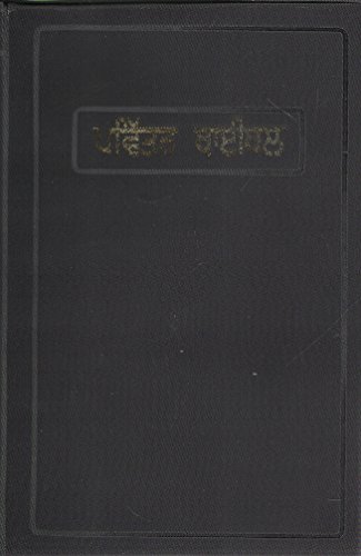 9788122102420: Punjabi Holy Bible (Punjabi Edition)