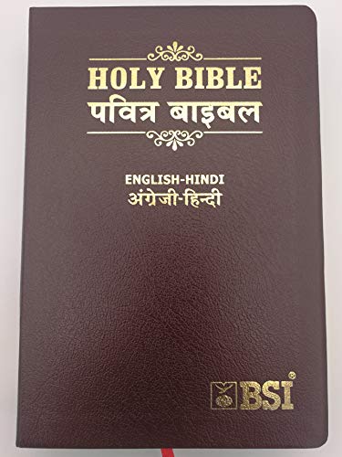 9788122129182: English Hindi Bilingual Bible / ESV - Hindi OV