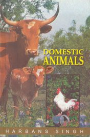 Stock image for Domestic Animals for sale by Books Puddle