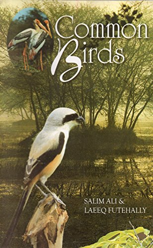 Imagen de archivo de Common Birds a la venta por Books Puddle