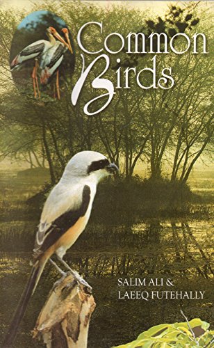 Stock image for Common Birds for sale by Books Puddle