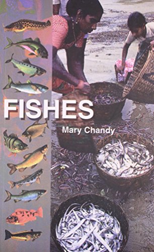 Stock image for Fishes for sale by Books Puddle