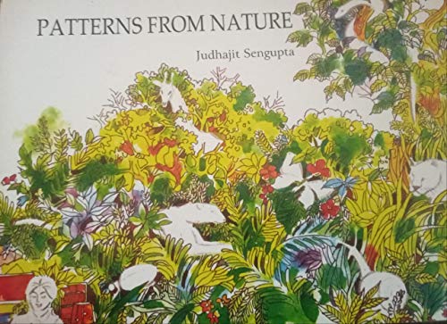 Imagen de archivo de Patterns from Nature a la venta por Books Puddle