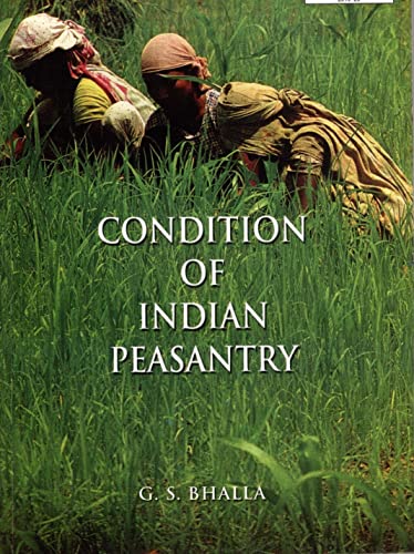 Stock image for Condition of Indian Peasantry for sale by Books Puddle