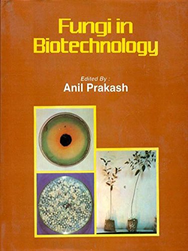 Stock image for Fungi in Biotechnology for sale by Books Puddle