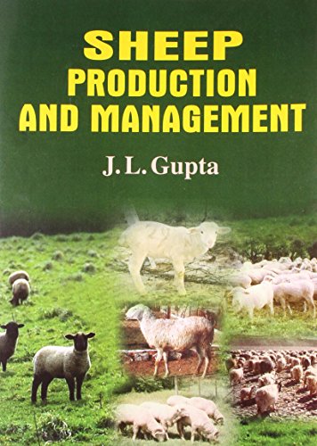 Stock image for Sheep Production And Management for sale by Books in my Basket