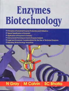 Stock image for Enzymes Biotechnology for sale by Books Puddle