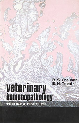 Stock image for Veterinary Immunopathology: Theory And Practice for sale by Books in my Basket