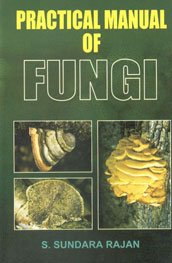 Stock image for Practical Manual of Fungi for sale by Books in my Basket