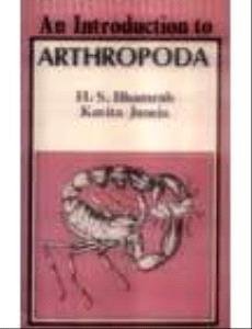 9788126106738: An Introduction to Arthropoda