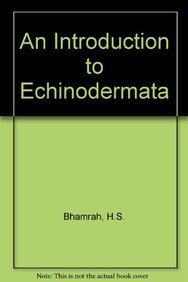 Stock image for An Introduction To Echinodermata for sale by Books in my Basket