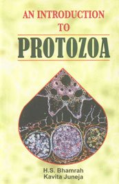 Stock image for An Introduction to Protozoa for sale by Night Heron Books