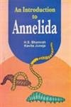 Stock image for Introduction To Annelida for sale by Books in my Basket