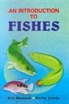 Stock image for An Introduction to Fishes for sale by dsmbooks