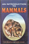 Stock image for An Introduction to Mammals for sale by COLLINS BOOKS