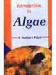 Stock image for Introduction To Algae for sale by Books in my Basket
