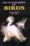 Stock image for Encyclopaedia of Birds for sale by dsmbooks