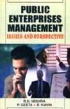Stock image for Public Enterprise Management: Issues And Perspectives for sale by Books in my Basket