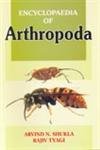 Beispielbild fr Encyclopaedia of Arthropoda zum Verkauf von dsmbooks