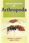 Stock image for Encyclopaedia of Arthropoda for sale by dsmbooks