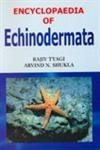 Beispielbild fr Encyclopaedia of Echinodermata zum Verkauf von Mispah books