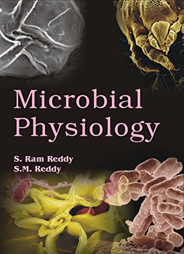 Stock image for Microbial Physiology for sale by Books in my Basket