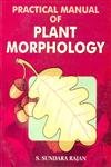 Stock image for Practical Manual of Plant Morphology for sale by Books in my Basket