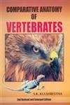 Stock image for Comparative Anatomy Of Vertebrates 2nd Edition for sale by Books in my Basket