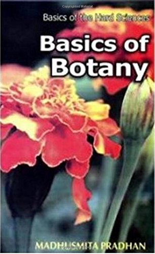 Stock image for Basics Of Botany for sale by Books in my Basket