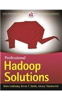 9788126551071: Professional Hadoop Solutions