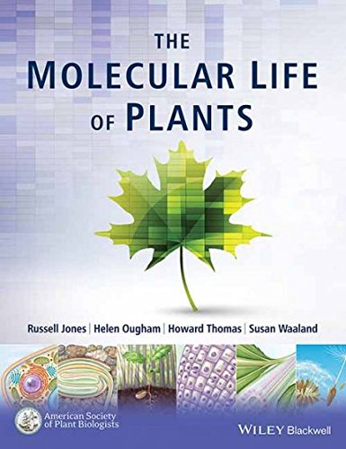9788126567690: Molecular Life Of Plants