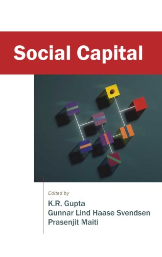 Stock image for Social Capital for sale by Books Puddle