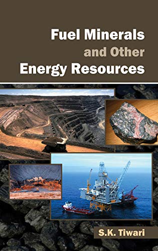Imagen de archivo de Fuel Minerals and Other Energy Resources a la venta por Books Puddle