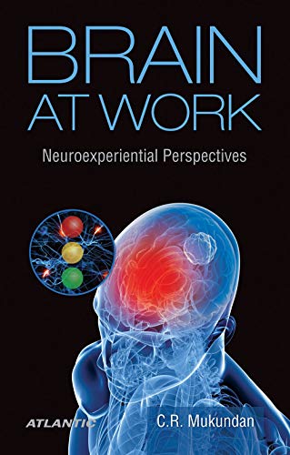 Stock image for Brain at Work Neuroexperiential Perspectives for sale by Books Puddle