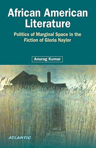 Imagen de archivo de African American Literature Politics of Marginal Space in the Fiction of Gloria Naylor a la venta por Books Puddle