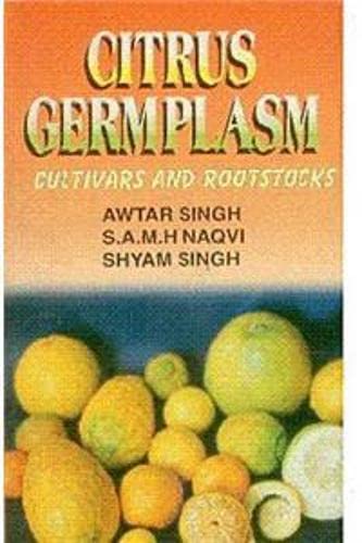 Stock image for Citrus Germplasm for sale by Books Puddle
